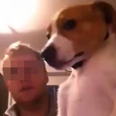 So quälte er den Welpen