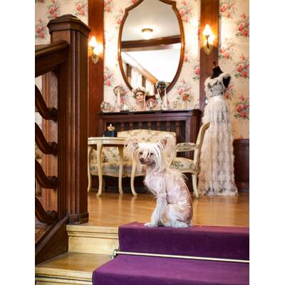 Lena Hoscheks Wiener Atelier