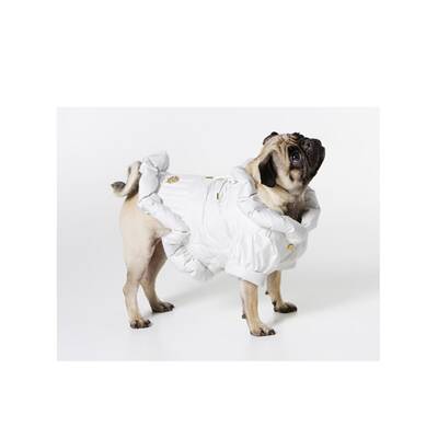 Eva Cavalli kleidet Tiere ein