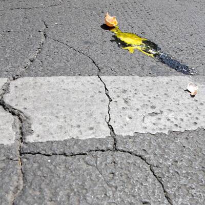 Wien zittert vor Mega-Demos