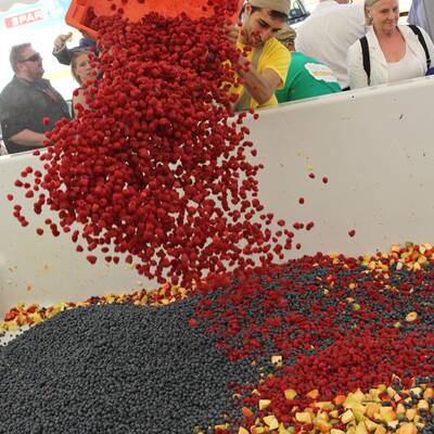 Obstsalat-Weltrekord in Wien