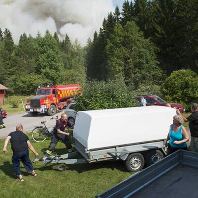 Größter Waldbrand aller Zeiten