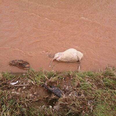 Topcic Polje/Bosnien