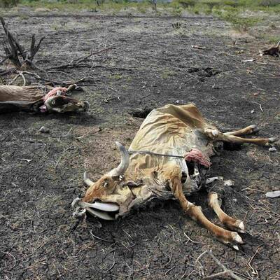 Viel zu wenig hat es geregnet