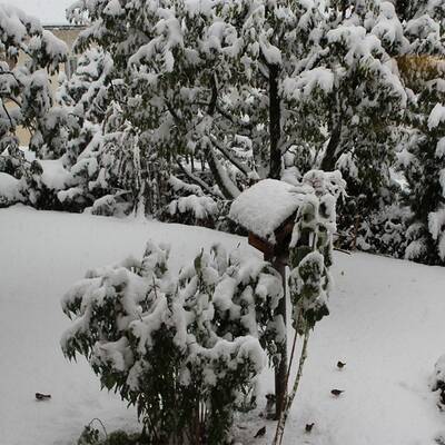 Steinach am Brenner (Tirol)