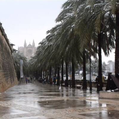 Schneefall im Februar 2012