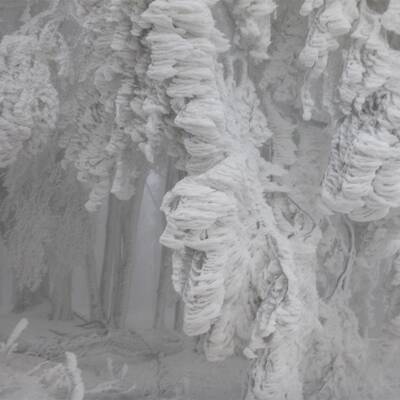 Waidhofen an der Thaya, NÖ