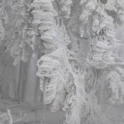 Waidhofen an der Thaya, NÖ