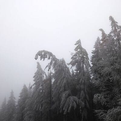 Ausnahmezustand in Ottenschlag