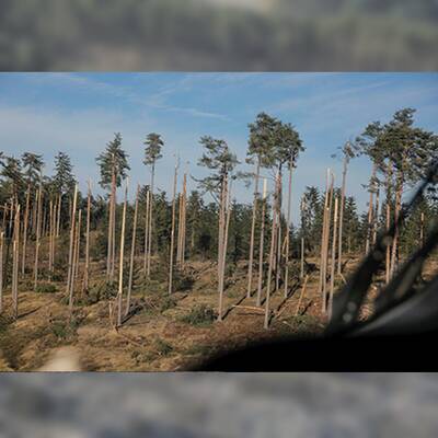 So enorm sind die Schäden