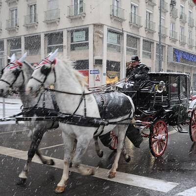 Schneewalze trifft Wien