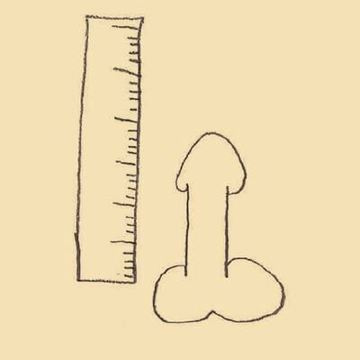 Der beschnittene Penis