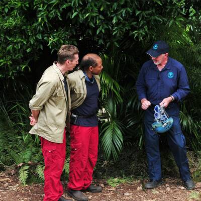 Dschungelcamp: Tag 10