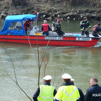 Auto stürzte nach Unfall in den Donaukanal 