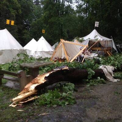 Pöchlarn mehrere Verletzte Bäume auf Personen gestützt