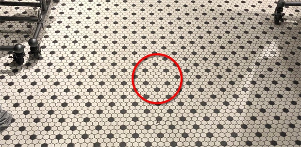 Dieses Foto lässt das Netz ausflippen