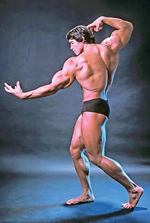 Arnold Schwarzenegger