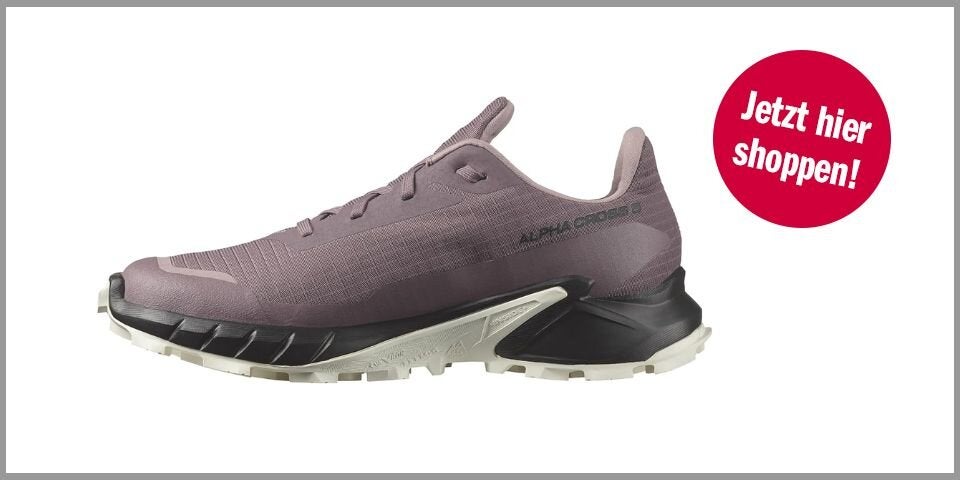 Shopping Channel Outdoor Salomon Alphacross 5 Gore-Tex