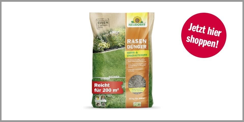 Shopping CH Rasendünger Neudorff RasenDünger