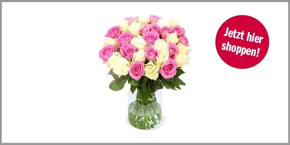 50 Rosen CandyCotton – 47,52 Euro bei Amazon*