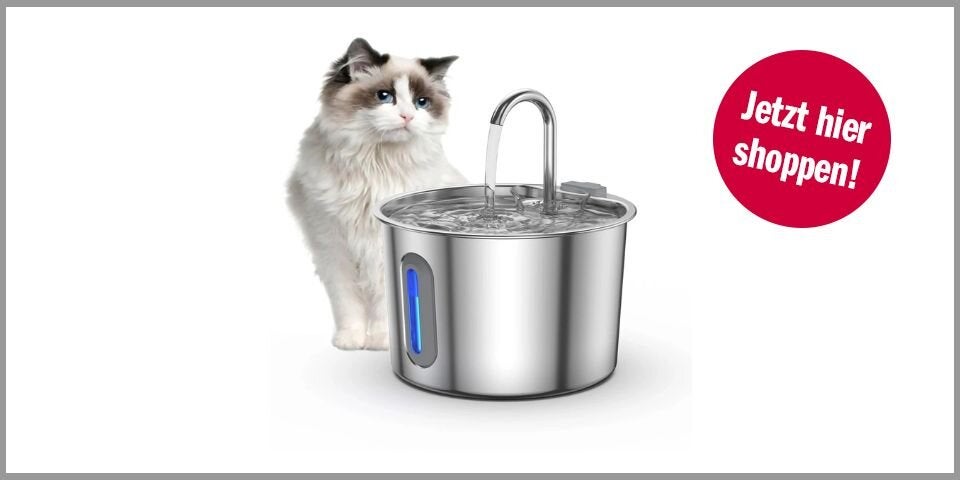Shopping CH Katzen Trinkbrunnen 2,2L Edelstahl Katzen-Trinkbrunnen