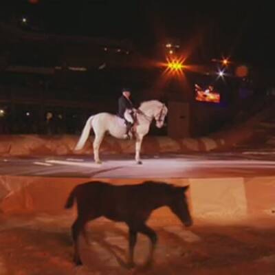 Schladming: Mega-Show zum WM-Start