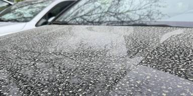 Saharastaub, der Lack zerst&ouml;ren k&ouml;nnte.