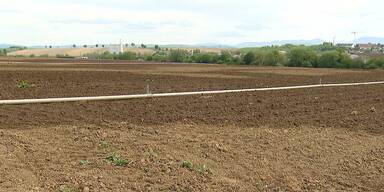 Niedergeschlagen wegen niedrigem Niederschlag: Wird jetzt Wasser aus der Donau gepumpt?