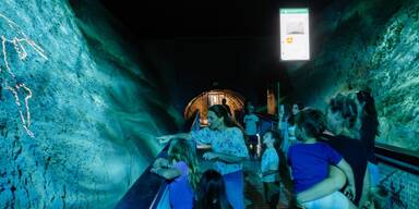 Fossilienwelt Weinviertel gewinnt Gold im Sommertourismus