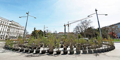 Irrgarten Stadt Wien