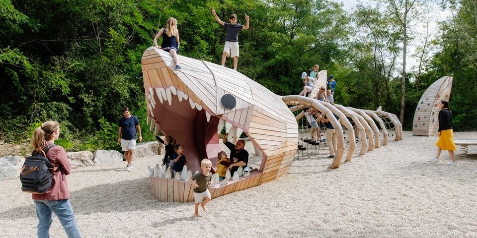 Begegnung mit dem Riesenhai: Spielerisch die Größe des Meeresgiganten erleben.