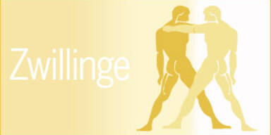 311x160_zwillinge