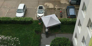 Fenstersturz Wien-Donaustadt