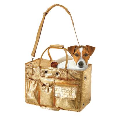 Die schönsten Hunde-Accessoires