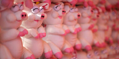 Schwein