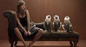 32596-Tommaso_Awerbuch,_Tre