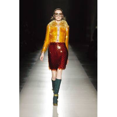 Der Herbst wird bunt 