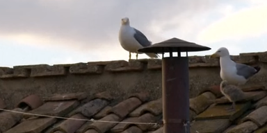 Papst-Wahl - Frauen fordern mit rosa Rauch mehr Mitbestimmung