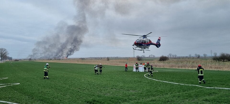 Brand Feuer Neusiedler See