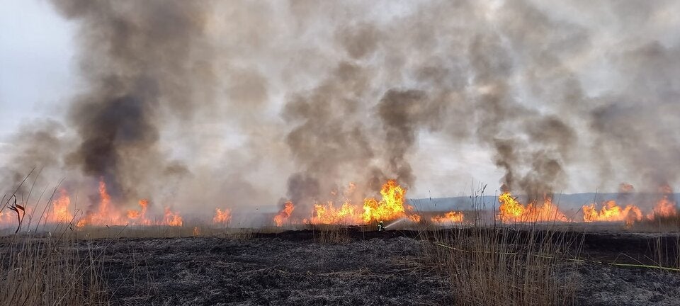 Brand Feuer Neusiedler See