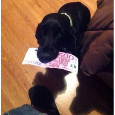 Rich Parents of Instagram