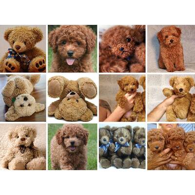 Entlein oder Kochbanane