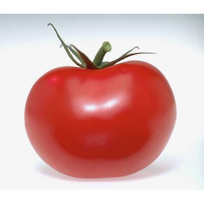 Lebensmittel ohne Kohlenhydrate