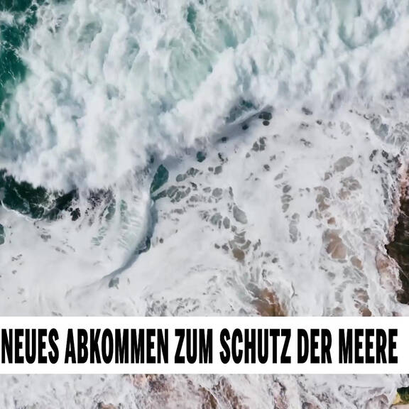 Meilenstein: Neues Abkommen zum Schutz der Meere