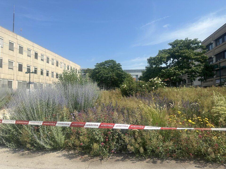 Rammbock-Bande rast mit Auto ins Donauzentrum: Protokoll des Coups