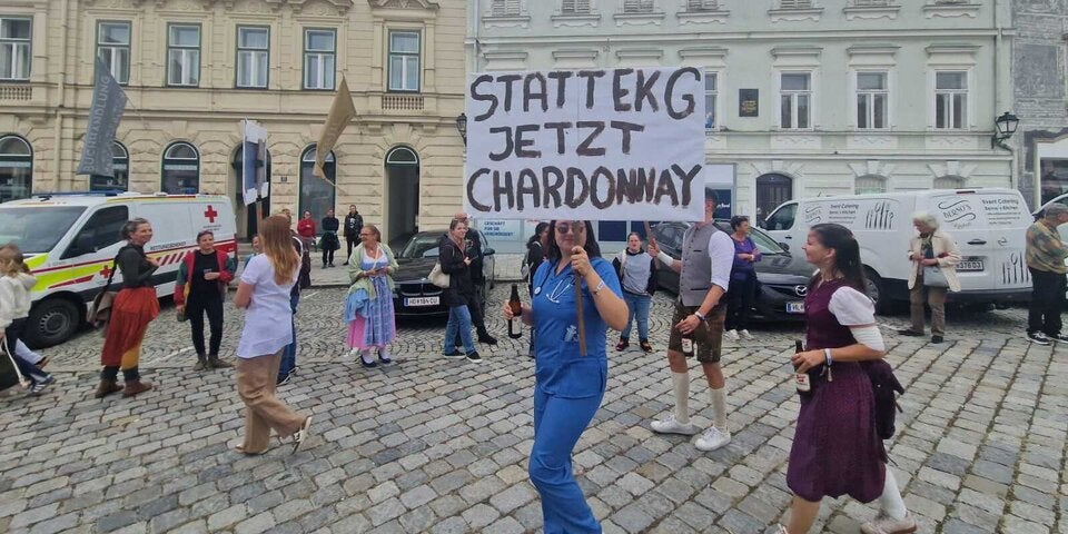 3585d530-4448-4a6d-bea8-d0db964ca1cf.jfif