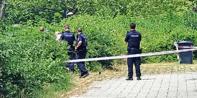 Jagd auf den Obdachlosen-Killer