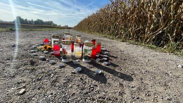 Blumen Beiß-Attacke Elmo