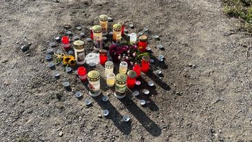 Blumen Beiß-Attacke Elmo