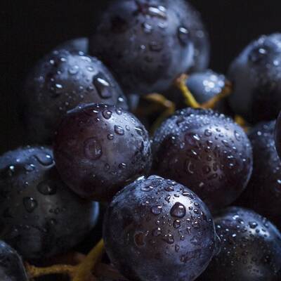 Portionen: Wie viel wovon?